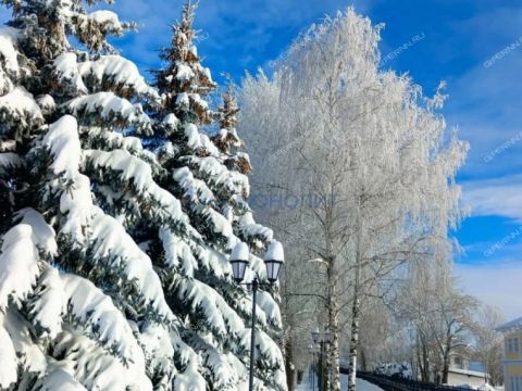 selo-diveevo-diveevskiy-municipalnyy-okrug фото