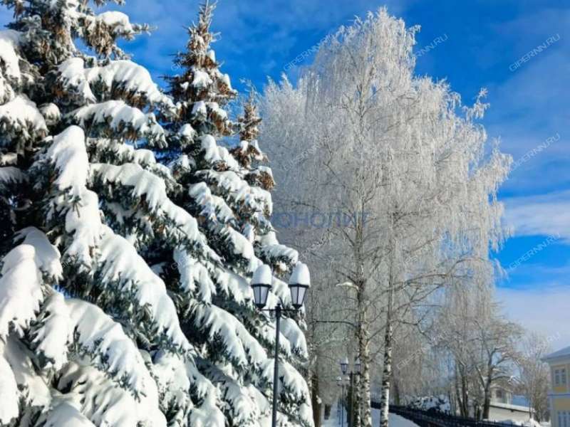 земельный участок 10,3 сотки Дружная улица село Дивеево