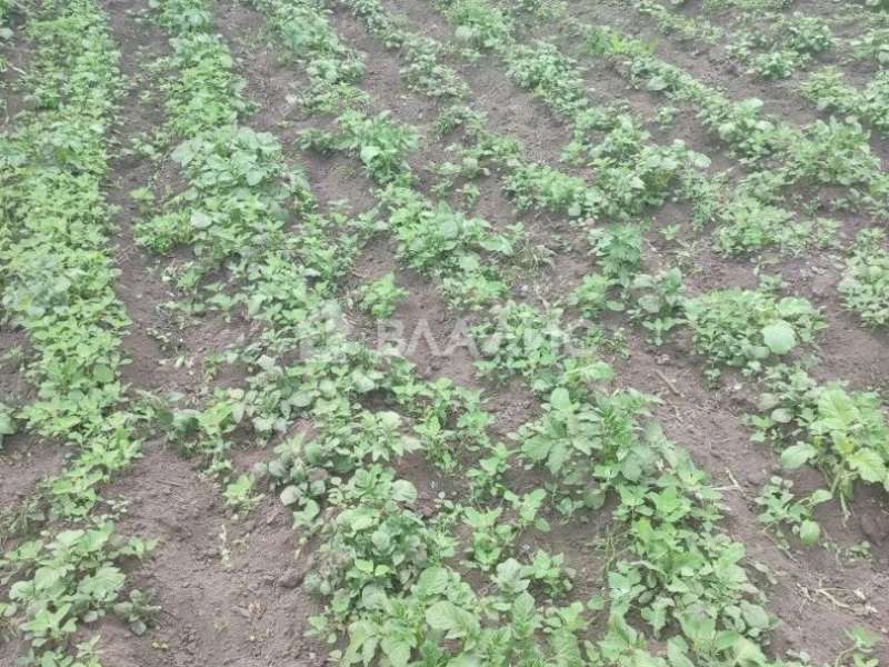 дом на Нагорной улице деревня Турбанка