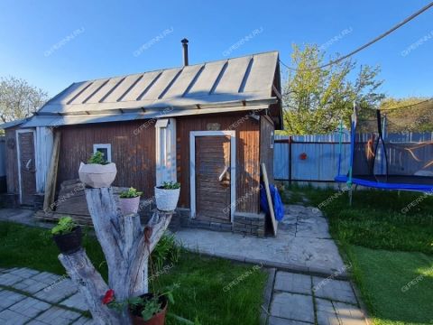 dacha-derevnya-ogolihino-gorodskoy-okrug-bor фото