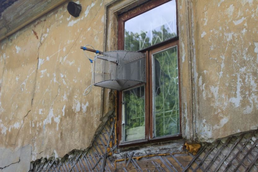 Фото: Анна Синаревская / gipernn.ru