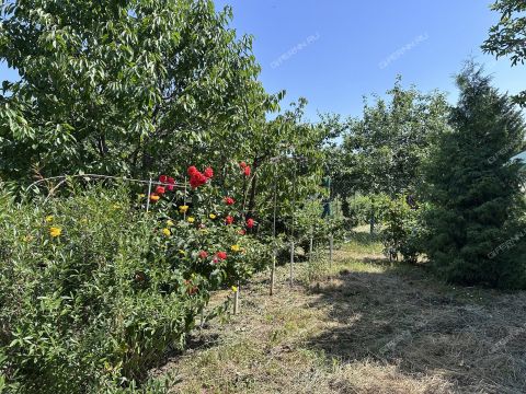 dacha-gorod-kstovo-kstovskiy-rayon фото