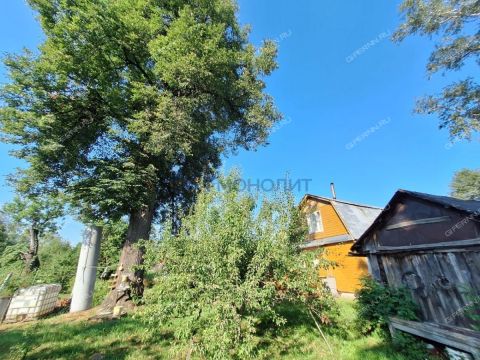 dom-derevnya-maloe-sodomovo-kantaurovskiy-selsovet-gorodskoy-okrug-bor фото