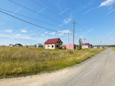 derevnya-shumilovo-bogorodskiy-municipalnyy-okrug фото