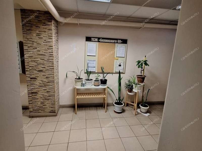 двухкомнатная квартира на улице Белинского дом 69