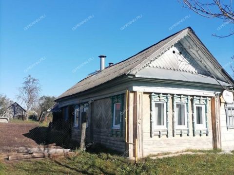 dom-derevnya-klyuchishhi-bogorodskiy-municipalnyy-okrug фото