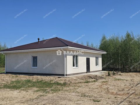 dom-selo-bezvodnoe-kstovskiy-rayon фото