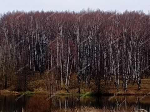 derevnya-kileley-bogorodskiy-municipalnyy-okrug фото