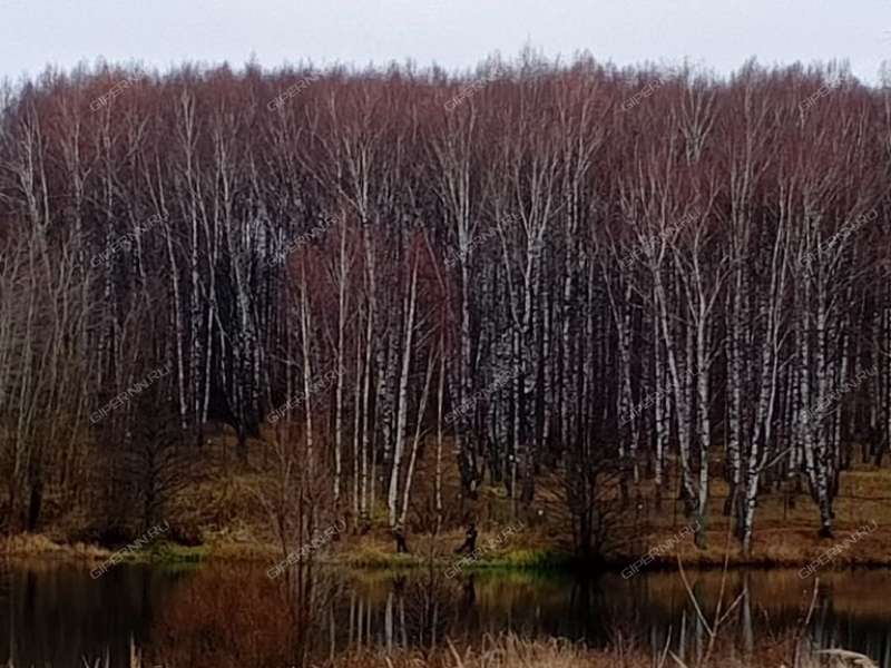 земельный участок 10 соток Ромашковая деревня Килелей