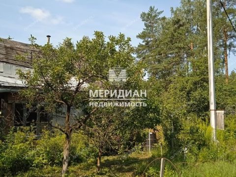 dacha-derevnya-syrohvatovo-gorodskoy-okrug-bor фото