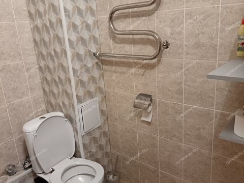 1-komnatnaya-selo-diveevo-diveevskiy-municipalnyy-okrug фото