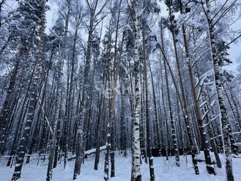 dom-tsn-chistye-klyuchi-dalnekonstantinovskiy-rayon фото