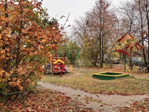 1-komnatnaya-derevnya-afonino-kstovskiy-rayon фото