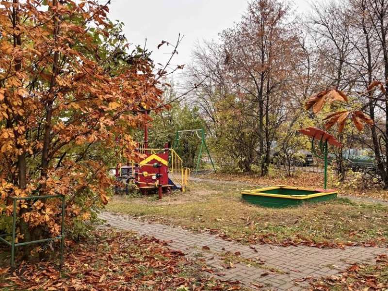 однокомнатная квартира на Зелёной улице дом 69 деревня Афонино