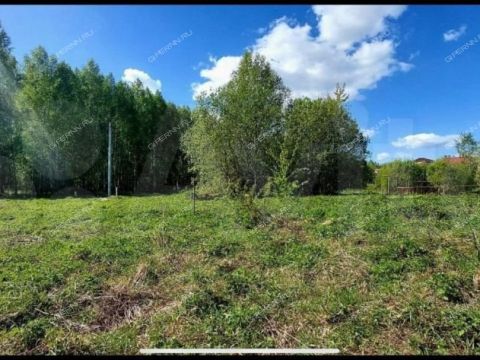 derevnya-berezovka-bogorodskiy-municipalnyy-okrug фото