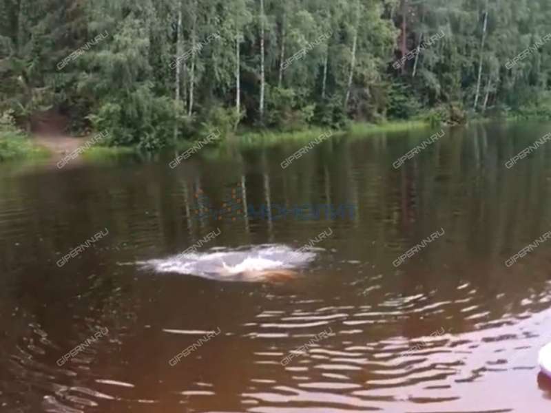 коттедж на - деревня Хаустово
