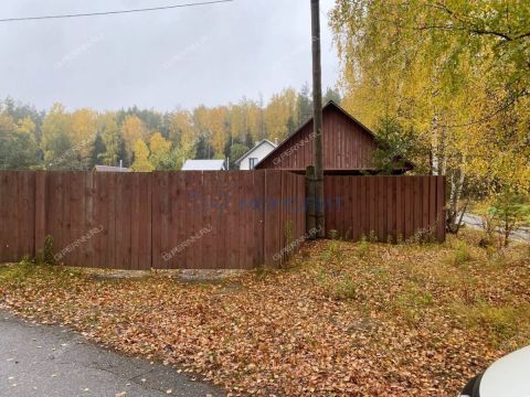 derevnya-berezniki-gorodeckiy-rayon фото