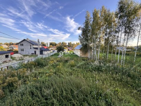 dom-derevnya-zabore-gorodskoy-okrug-bor фото