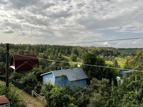 dacha-selo-bezvodnoe-kstovskiy-rayon фото
