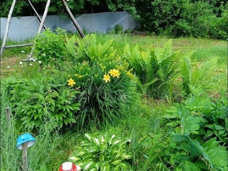 земельный участок 9 соток посёлок Ситники