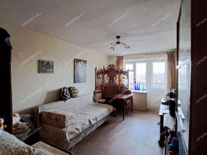 однокомнатная квартира на улице Вячеслава Шишкова дом 3