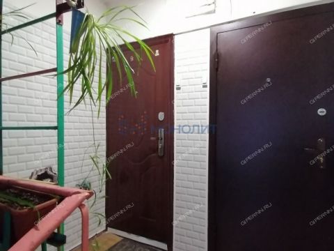 pr-yarmarochnyy-d-11 фото