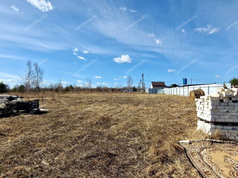 земельный участок 20,9 сотки деревня Кривая Шелокша