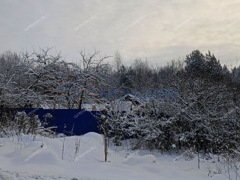 derevnya-berezovka-bogorodskiy-municipalnyy-okrug фото