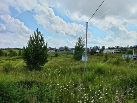 selo-efimevo-bogorodskiy-municipalnyy-okrug фото