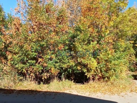 sovetskiy-rayon фото