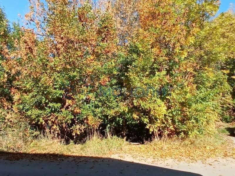 земельный участок 6 соток Канашская улица