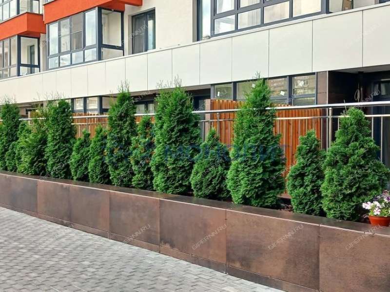 двухкомнатная квартира на улице Бориса Панина дом 3