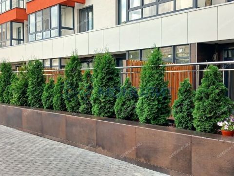2-komnatnaya-ul-borisa-panina-d-3 фото