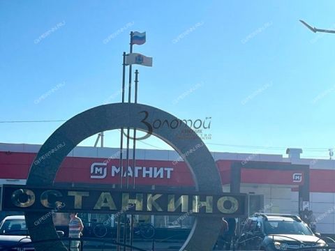 kottedzh-selo-ostankino-gorodskoy-okrug-bor фото