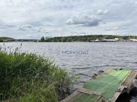 ryabinino-sad-gorodskoy-okrug-chkalovsk фото