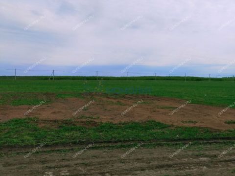 rabochiy-poselok-maloe-kozino-balahninskiy-municipalnyy-okrug фото