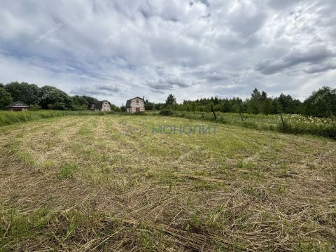 ryabinino-sad-gorodskoy-okrug-chkalovsk фото