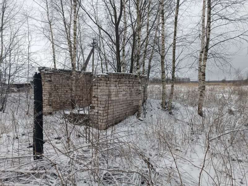 земельный участок 25 соток Центральная улица село Криуша