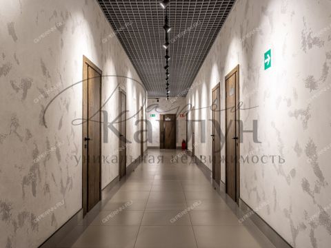 sh-moskovskoe-d-117 фото