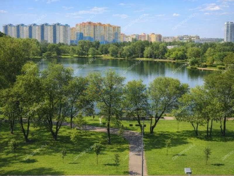 трёхкомнатная квартира на Молодёжном проспекте дом 38
