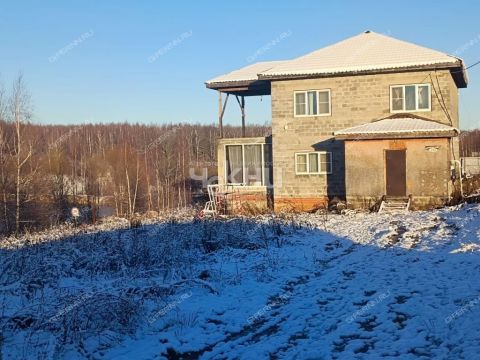 dom-derevnya-burcevo-bogorodskiy-municipalnyy-okrug фото