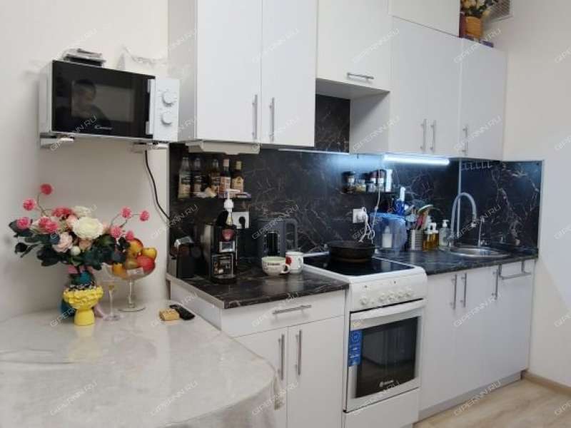 однокомнатная квартира на Русская ул дом 16 Анкудиновка