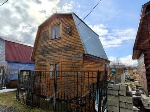 dacha-st-aviator фото