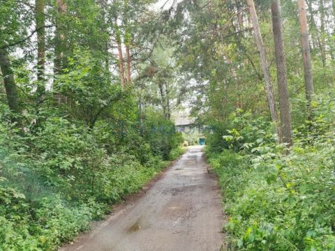 1-komnatnaya-selskiy-poselok-druzhnyy-bogorodskiy-municipalnyy-okrug фото