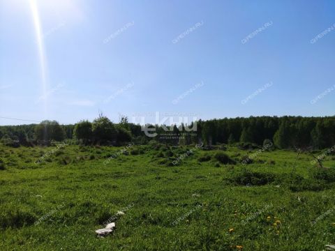 derevnya-mednikovo-gorodskoy-okrug-chkalovsk фото
