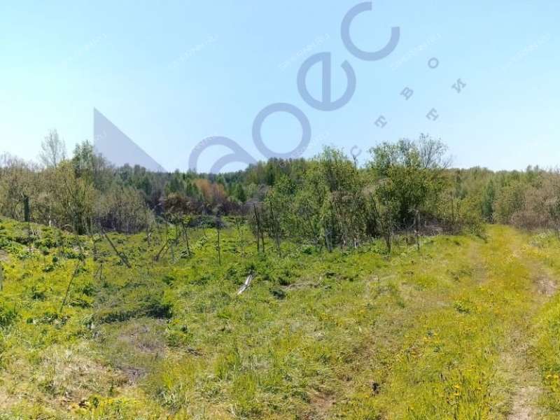 земельный участок под коммерческое использование в городском округе Сокольский Нижегородской области