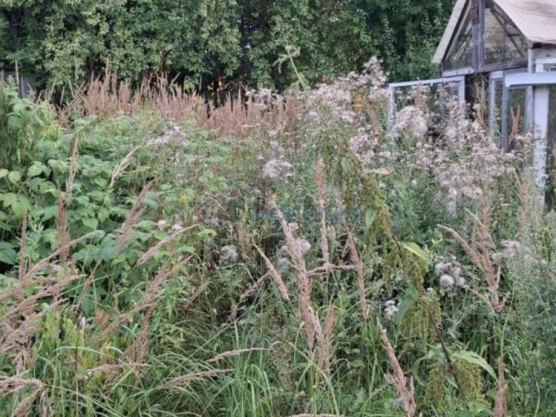 дом на Центральной улице деревня Хабарское