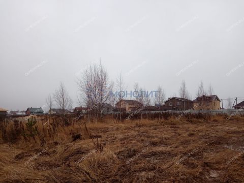 gorod-bogorodsk-bogorodskiy-municipalnyy-okrug фото