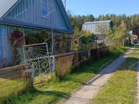 dacha-derevnya-strahovo-gorodskoy-okrug-bor фото