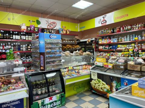 ul-oktyabrskoy-revolyucii-d-18 фото